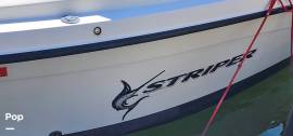 2005, Seaswirl, Striper 2101 DC