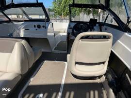 2017, Bayliner, 175 BR