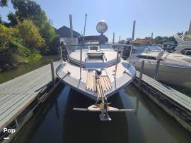 1988, Sea Ray, 340 Sundancer