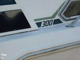 1989, Sea Ray, 300 Weekender