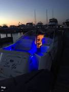 2001, Sea Ray, 260 Sundancer