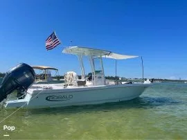 2022, Robalo, 246 Cayman