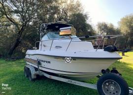 2006, Seaswirl, Striper 1851 WA