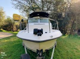 2006, Seaswirl, Striper 1851 WA