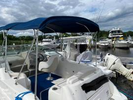 2010, Sea Ray, 240 Sundancer