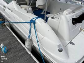 2010, Sea Ray, 240 Sundancer