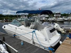 2010, Sea Ray, 240 Sundancer