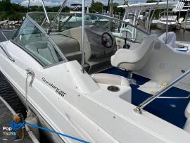 2010, Sea Ray, 240 Sundancer