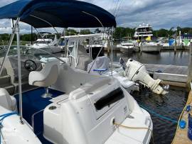 2010, Sea Ray, 240 Sundancer