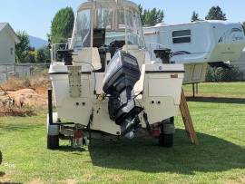 1999, Bayliner, Trophy 2002 WA