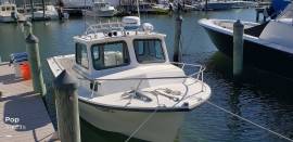 1996, Steiger Craft, 25 Chesapeake