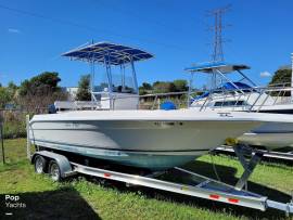 1993, Sea Ray, 21 Laguna