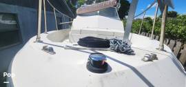 1987, Wellcraft, Coastal 230