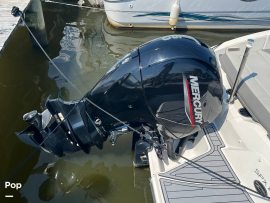 2020, Sea Ray, SPX 210