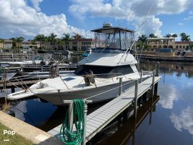 1992, Sea Ray, 310 Sport Bridge