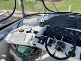 1992, Sea Ray, 310 Sport Bridge