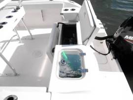 2023, Cobia, 220 CC