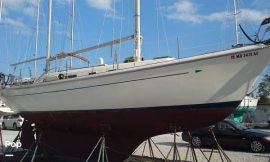 1980, Allied, Princess II