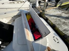 2004, Sea Ray, 290 Amberjack