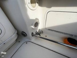 2004, Sea Ray, 290 Amberjack