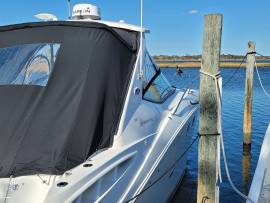 2007, Sea Ray, 310 Sundancer