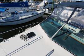 1987, Sea Ray, 300 Sundancer