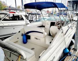 1998, Rinker, Fiesta Vee 266