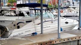 1998, Rinker, Fiesta Vee 266