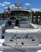 2006, Sea Ray, 290 Amberjack