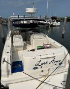 2006, Sea Ray, 290 Amberjack