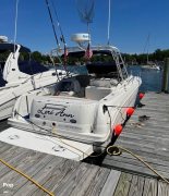 2006, Sea Ray, 290 Amberjack