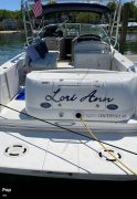 2006, Sea Ray, 290 Amberjack