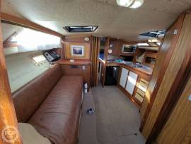 1979, Bayliner, Conquest 3150 Offshore