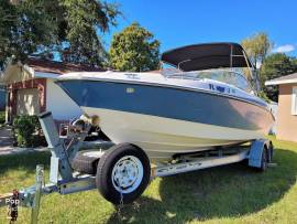 2011, Bayliner, 235 BR