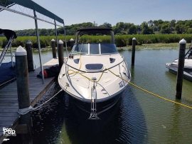 2009, Sea Ray, 250 Sundancer