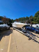 1996, Sea Ray, 250 Sundancer