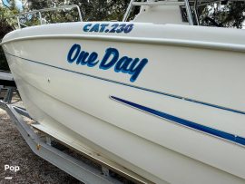 2001, Carolina Skiff, Sea Chaser Cat 230