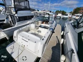 2008, Sea Ray, 290 Amberjack