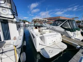 2008, Sea Ray, 290 Amberjack