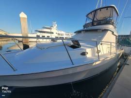 1993, Mediterranean, 38